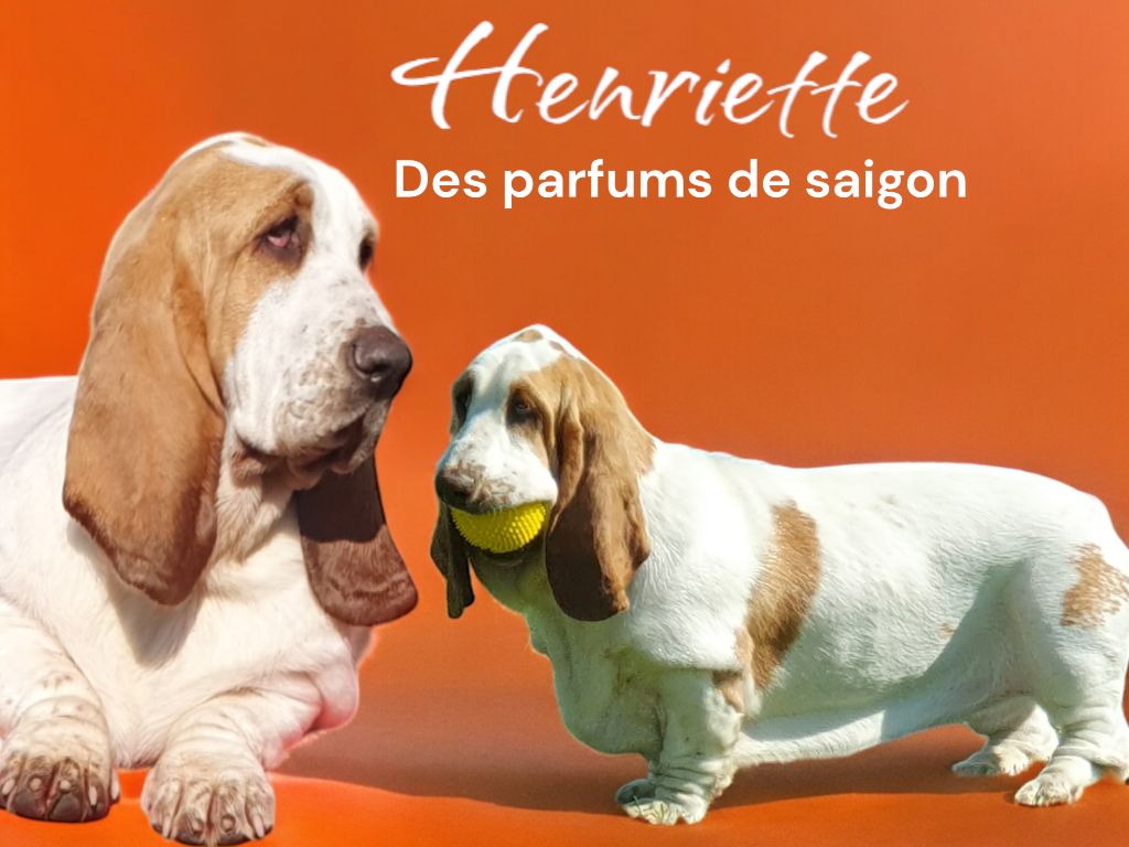 U'henriette Des Parfums De Saigon