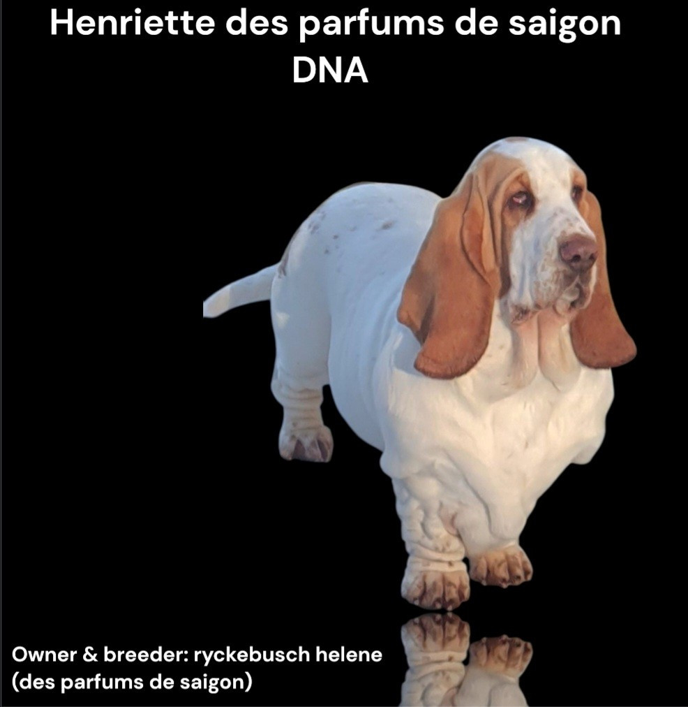 U'henriette Des Parfums De Saigon