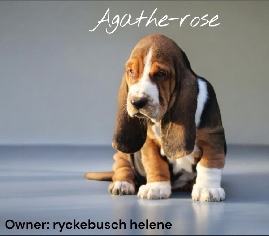 Agathe-tose de la flamme sacrée d hestia